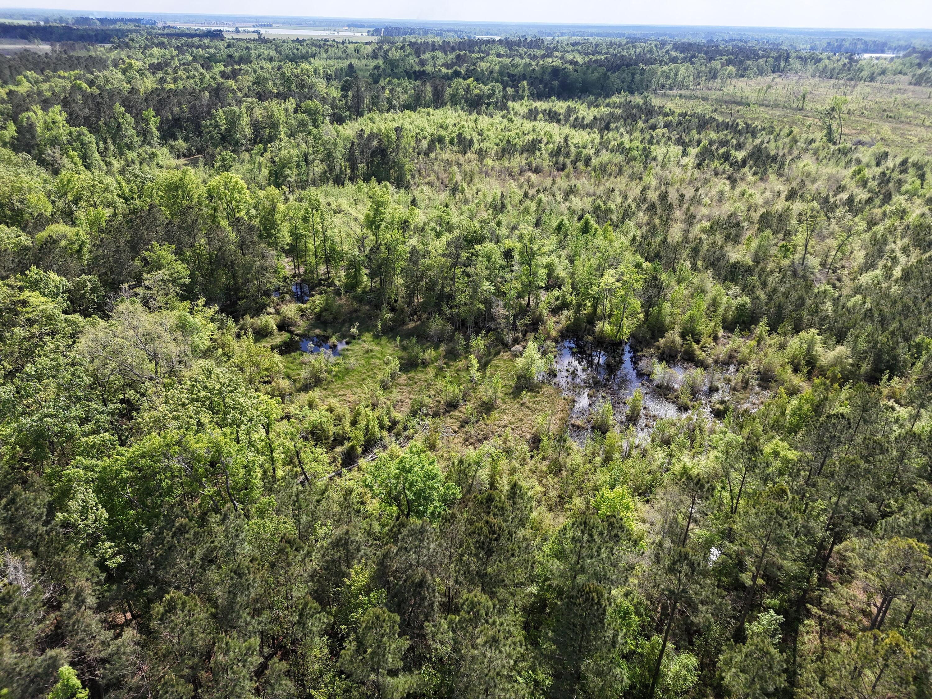 0 305 Highway Property Photo 15