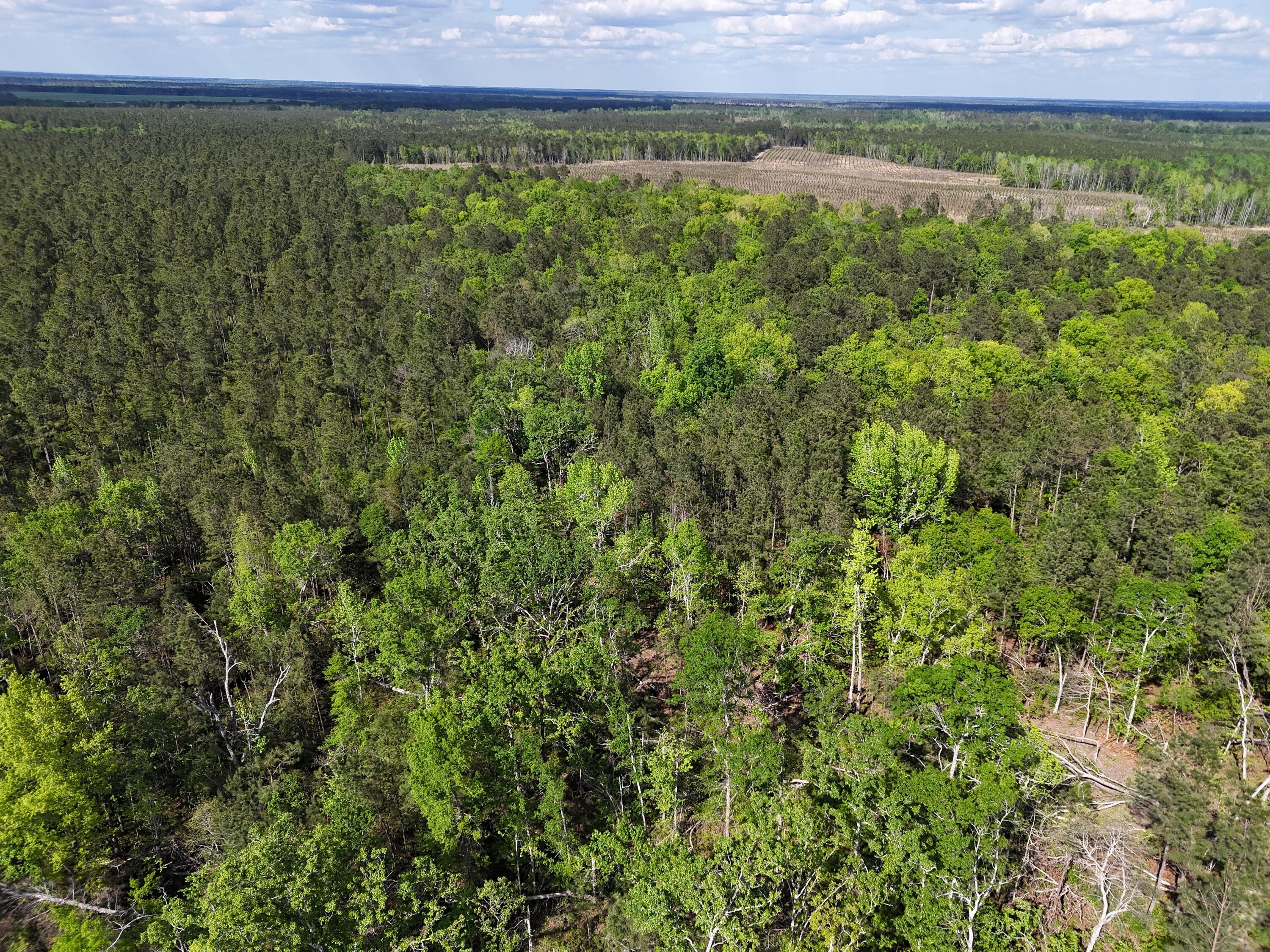 0 305 Highway Property Photo 18