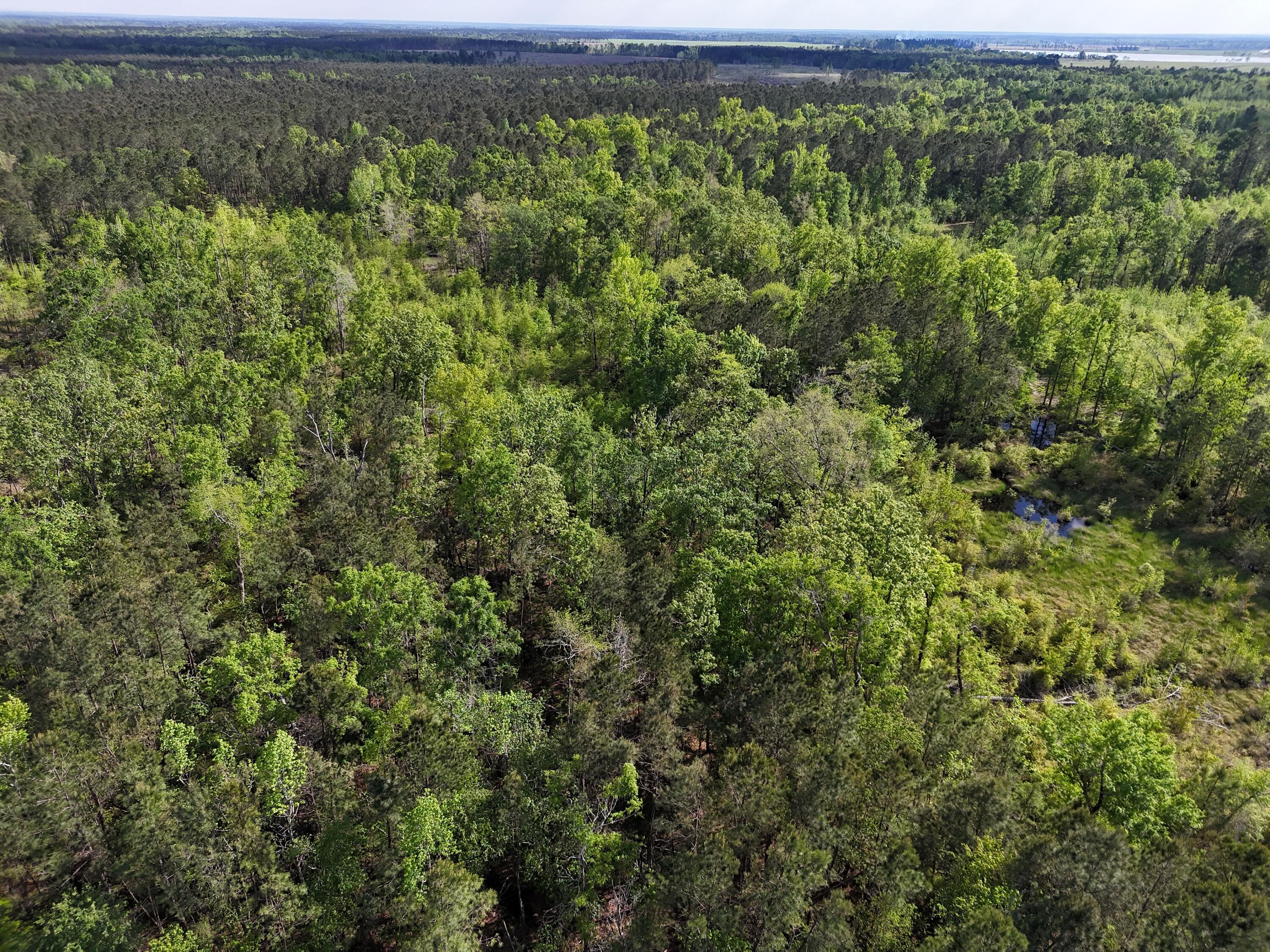 0 305 Highway Property Photo 19