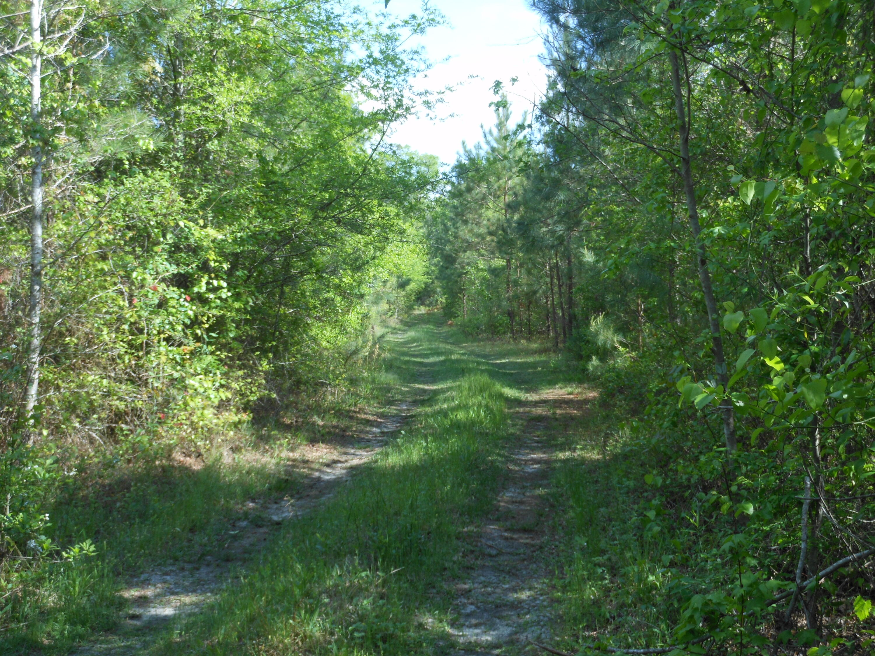0 305 Highway Property Photo 26
