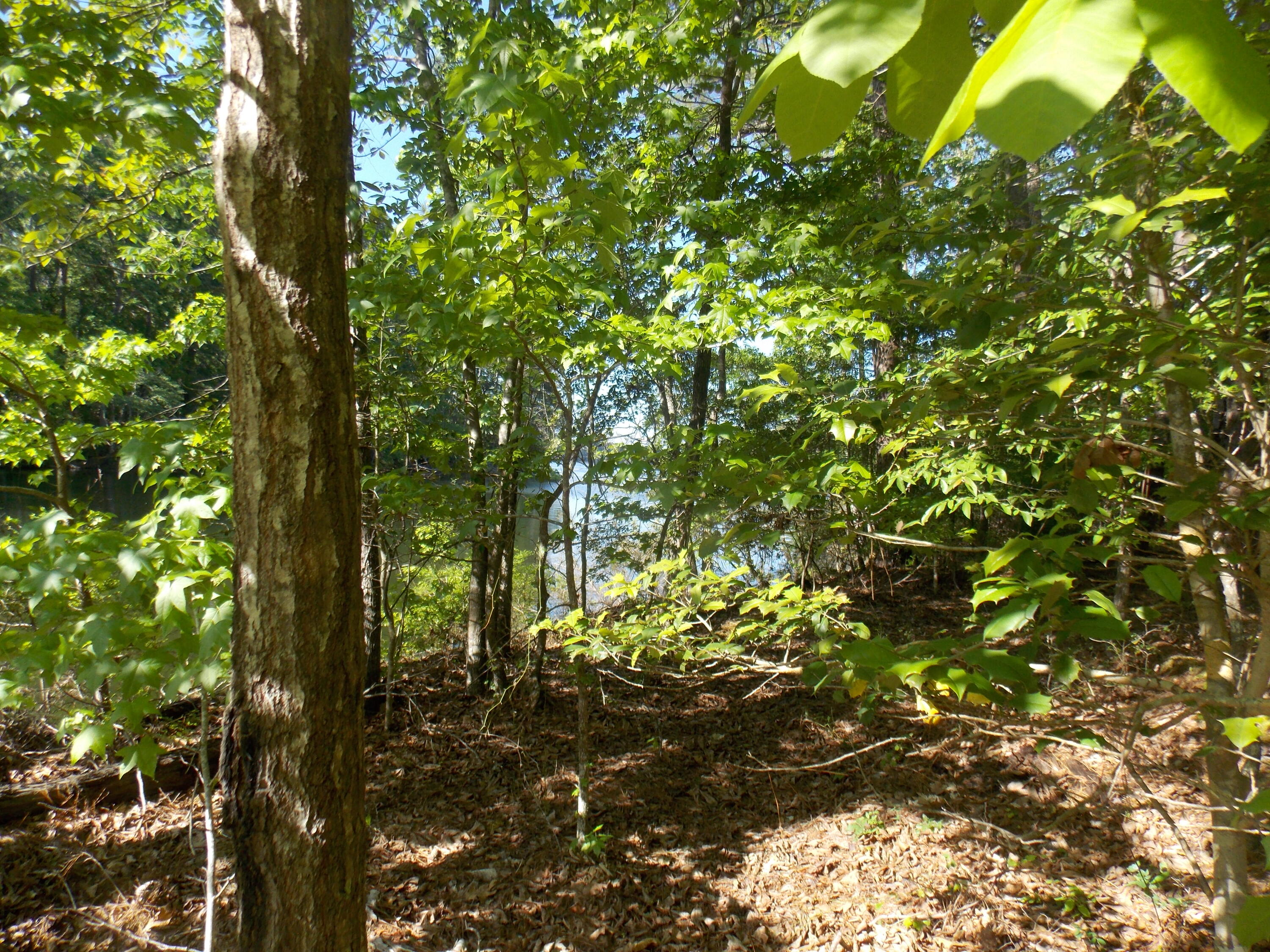 13 13 Riverview Ct Property Photo 2