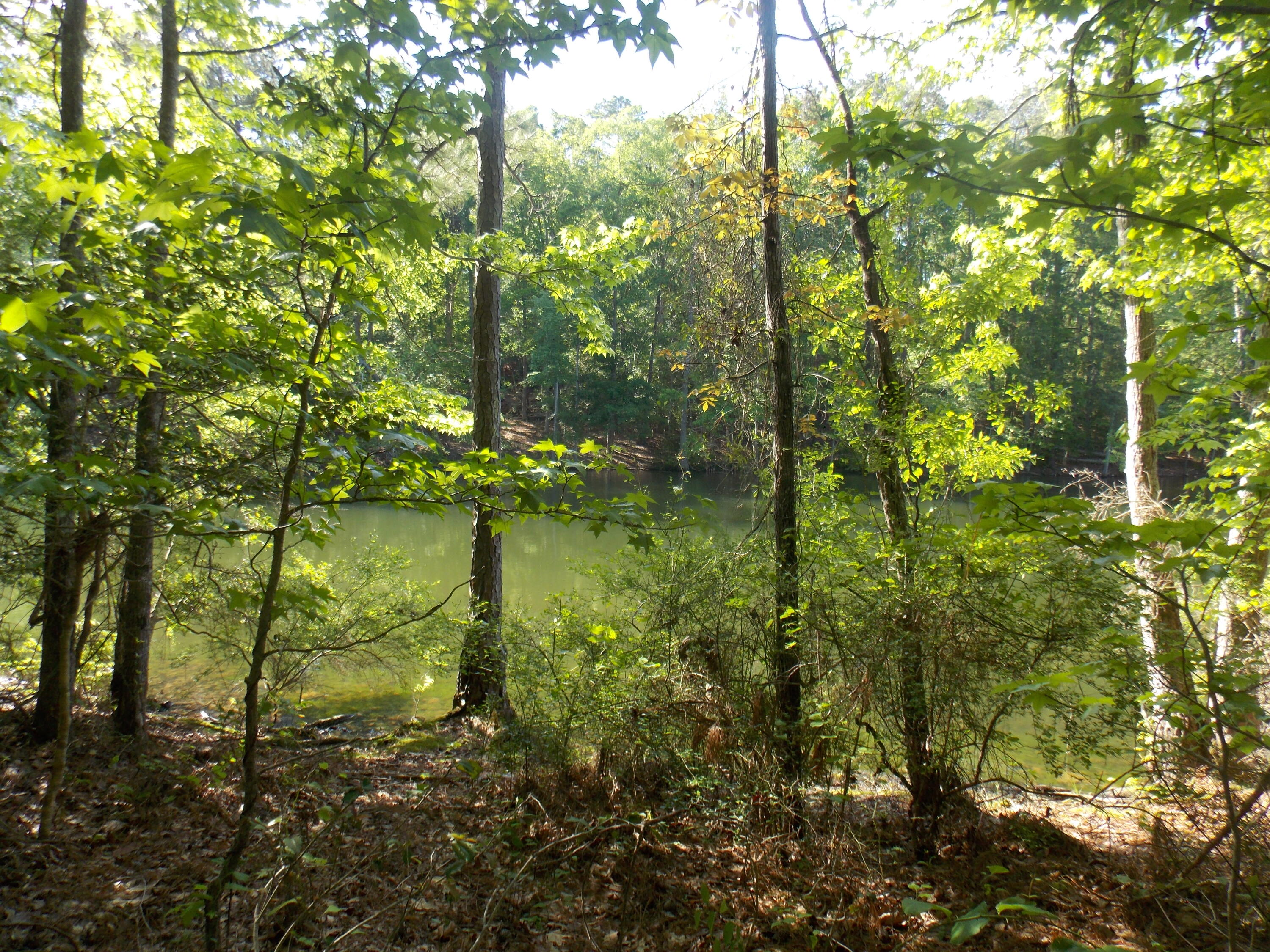 13 13 Riverview Ct Property Photo 3
