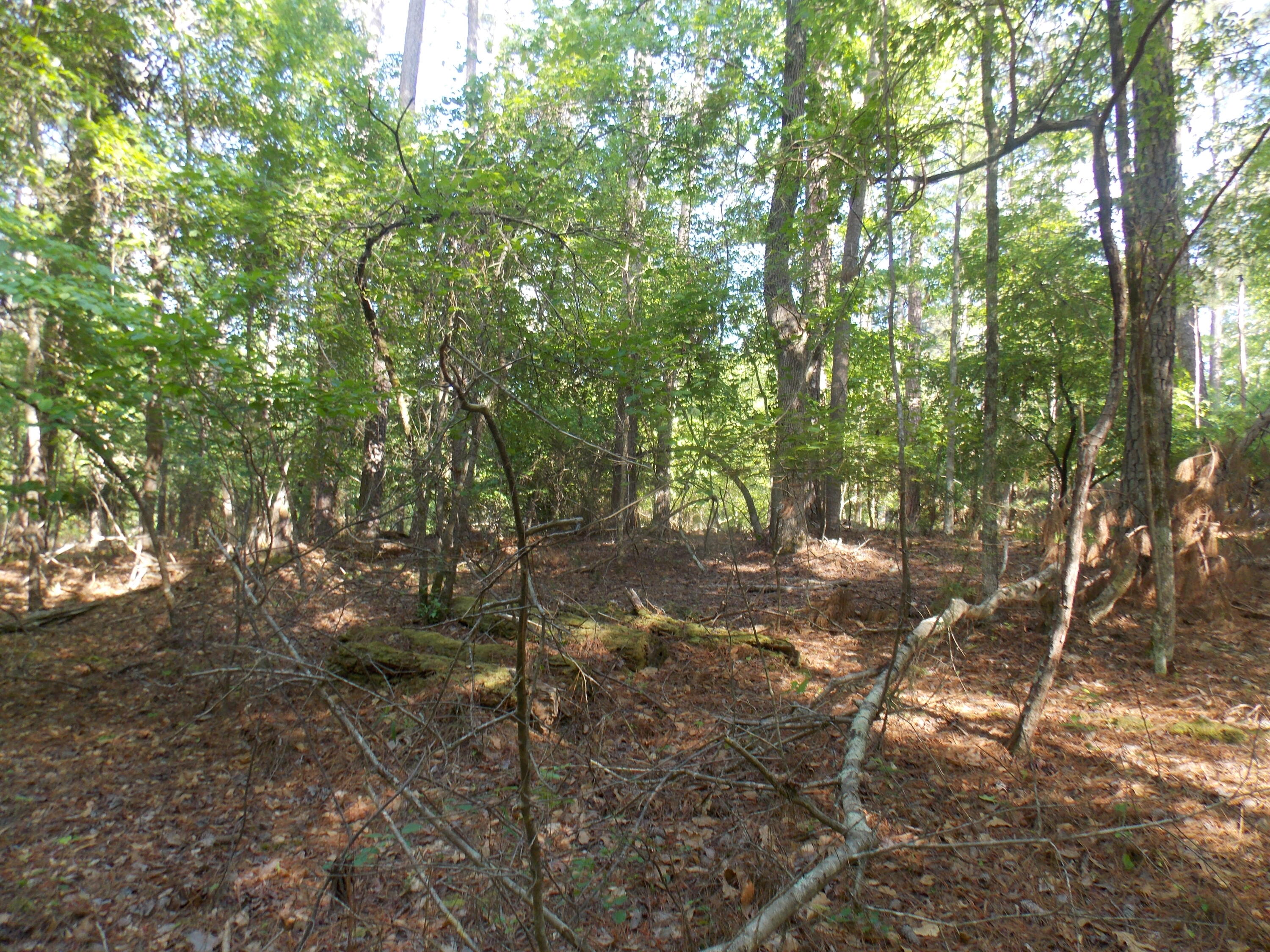 13 13 Riverview Ct Property Photo 4