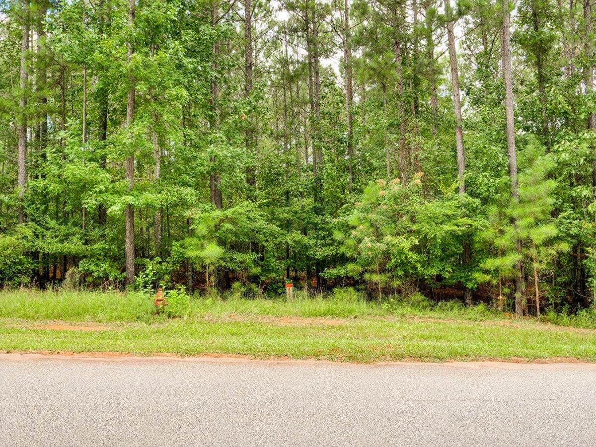 Lot 58 58 Lighthouse Pointe Property Photo 1