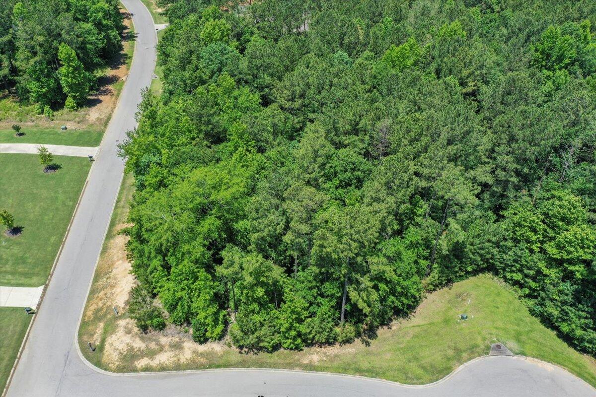 Lot P-38 Eutaw Springs Trail Property Photo 1