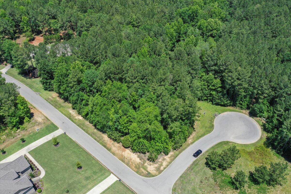 Lot P-38 Eutaw Springs Trail Property Photo 2