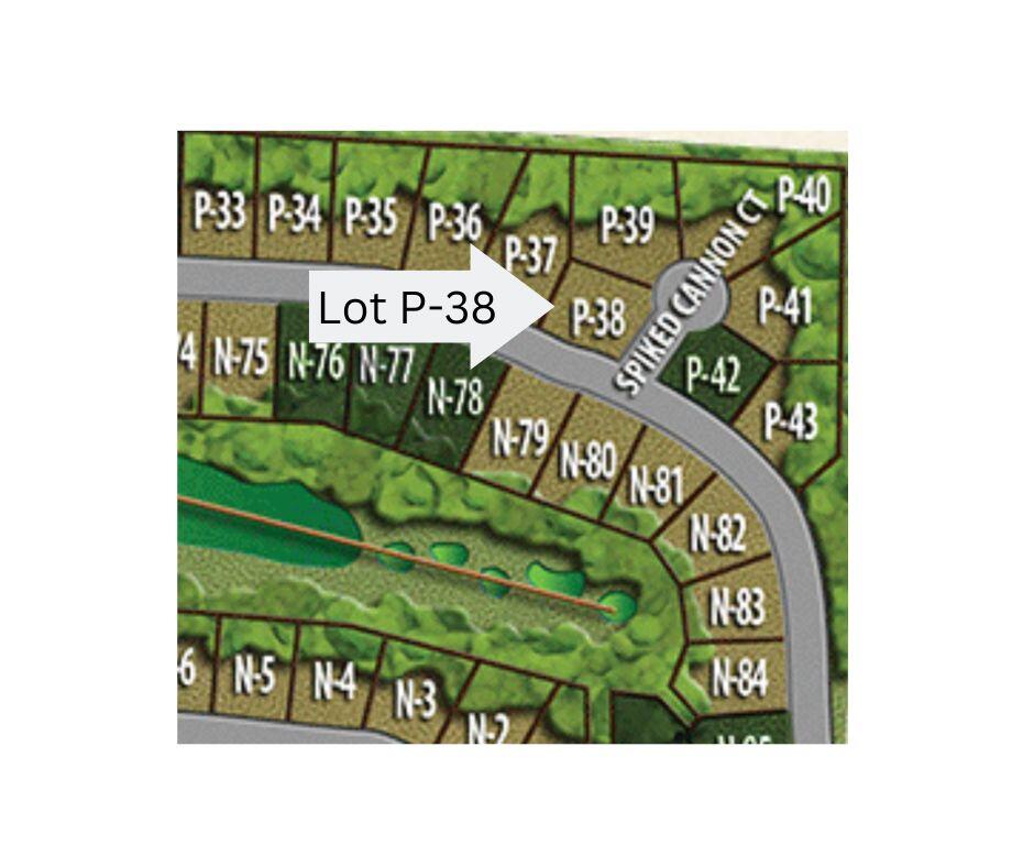 Lot P-38 Eutaw Springs Trail Property Photo 3