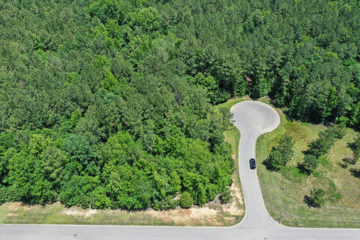 Lot P-38 Eutaw Springs Trail Property Photo 5