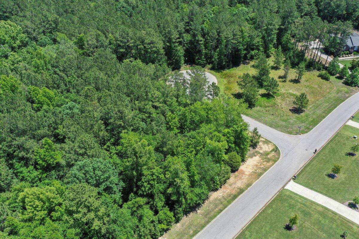 Lot P-38 Eutaw Springs Trail Property Photo 6