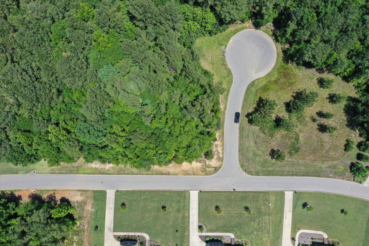 Lot P-38 Eutaw Springs Trail Property Photo 7