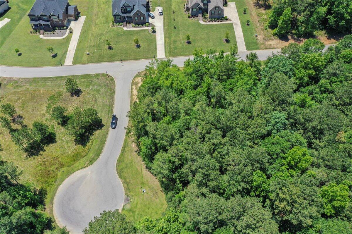 Lot P-38 Eutaw Springs Trail Property Photo 8