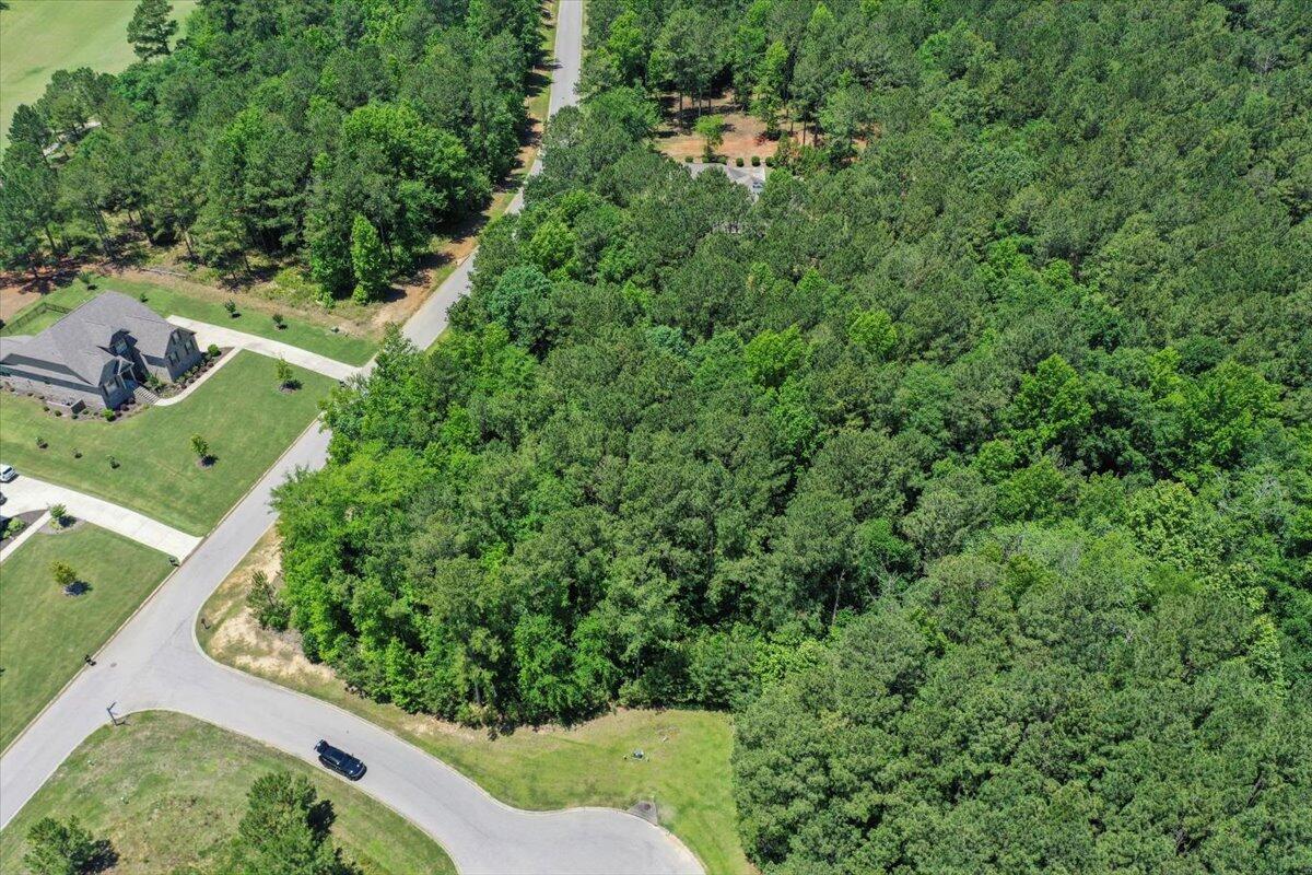 Lot P-38 Eutaw Springs Trail Property Photo 9
