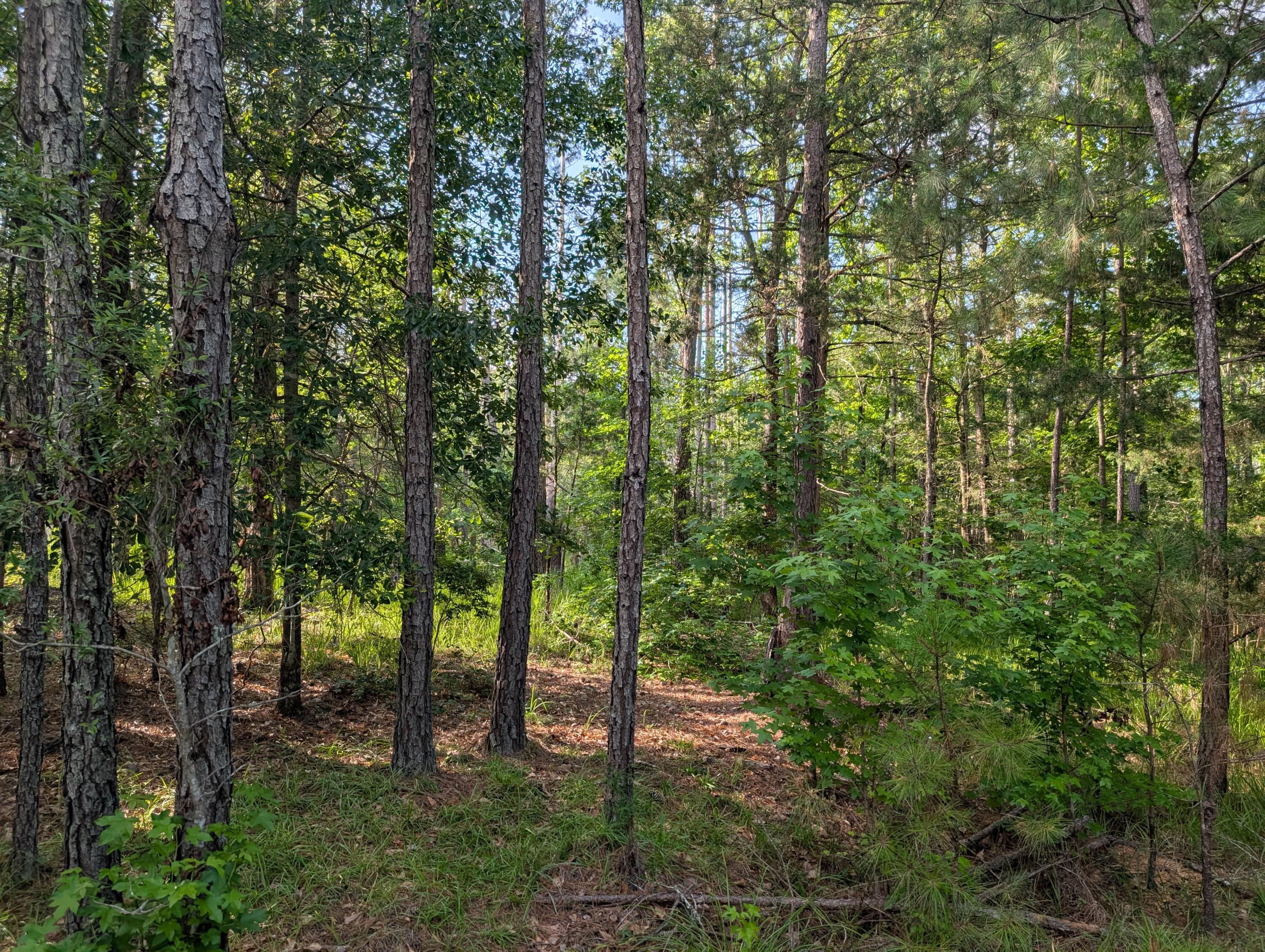 3079 3 Marshall Road Property Photo 1