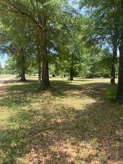 1029 Horseshoe B Road Property Photo 2