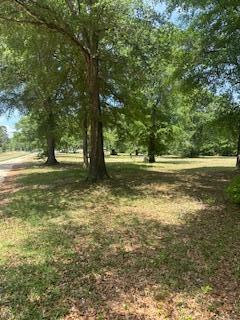 1029 Horseshoe B Road Property Photo 3
