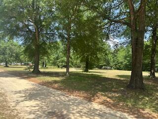 1029 Horseshoe B Road Property Photo 4