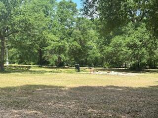 1029 Horseshoe B Road Property Photo 5