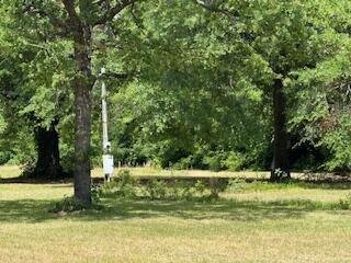 1029 Horseshoe B Road Property Photo 7