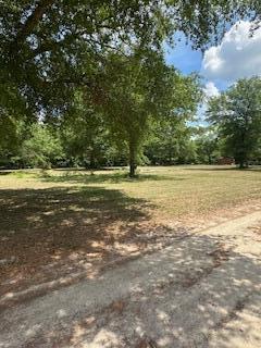 1029 Horseshoe B Road Property Photo 9