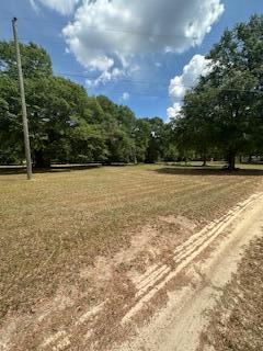 1029 Horseshoe B Road Property Photo 11