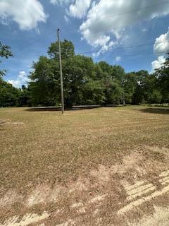 1029 Horseshoe B Road Property Photo 12
