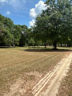 1029 Horseshoe B Road Property Photo 14