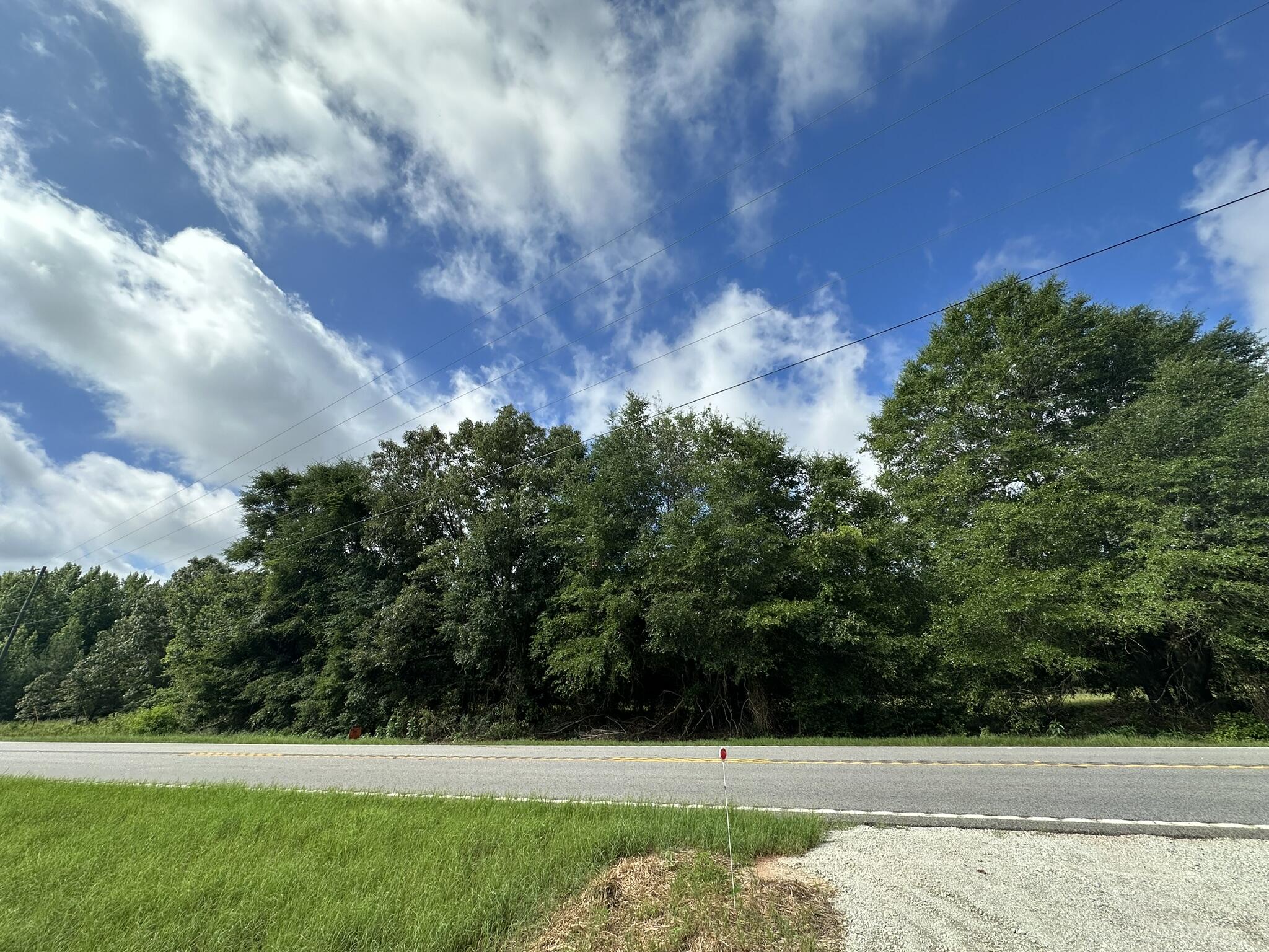 Lot E S Ga Highway 23 Property Photo 1