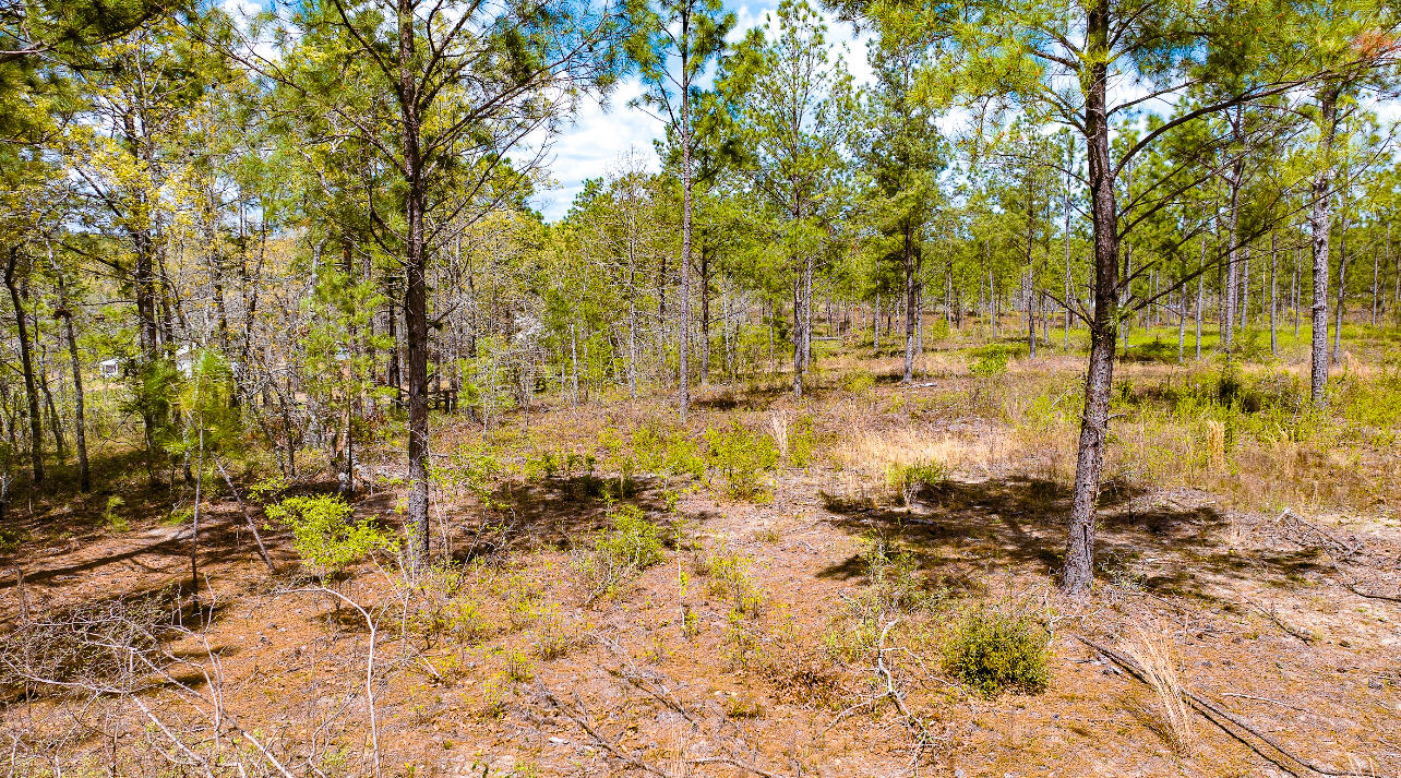 Lot 4 Bluffwood Road Property Photo 6