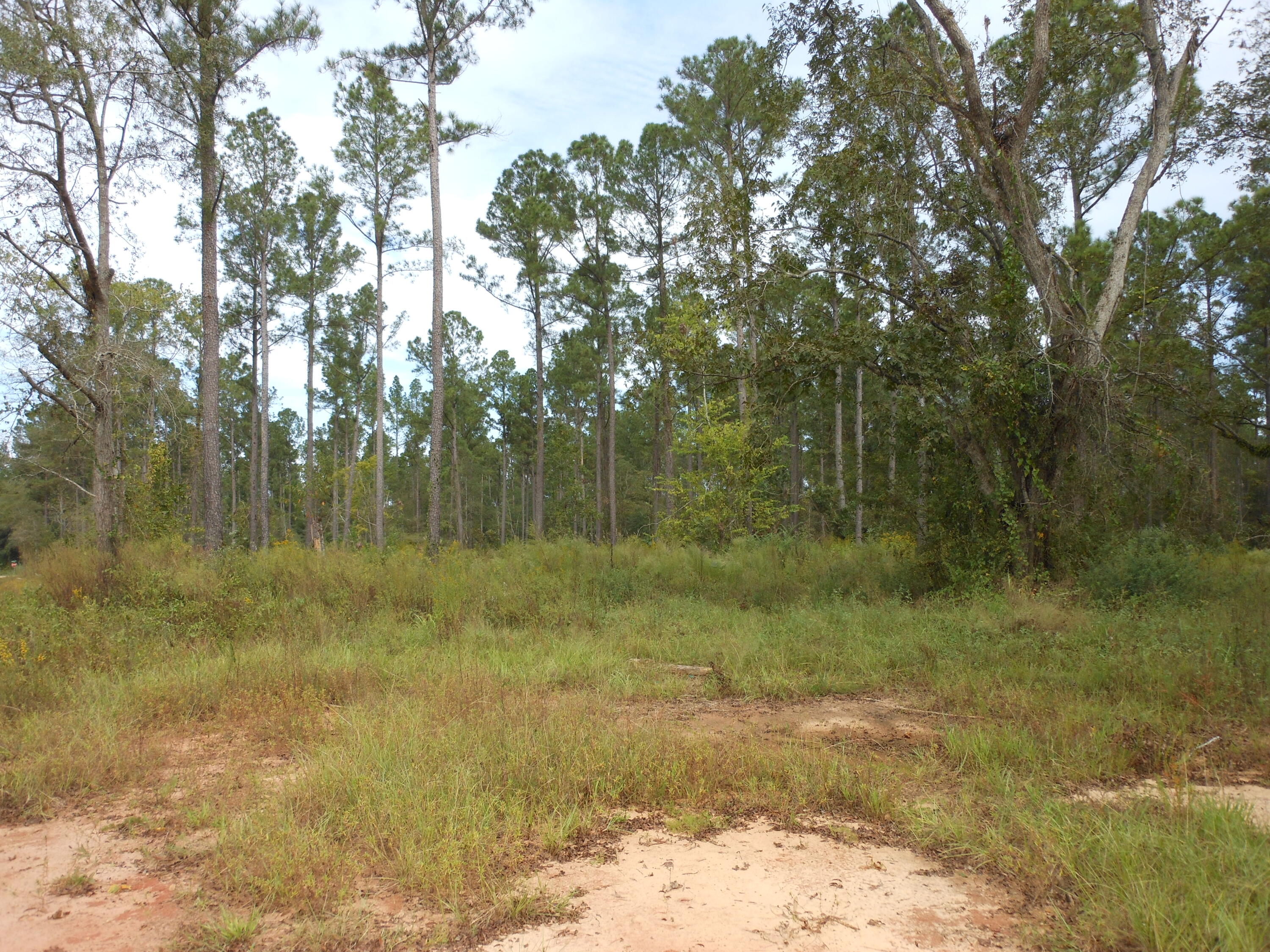 0 Hannah Lane Property Photo 3