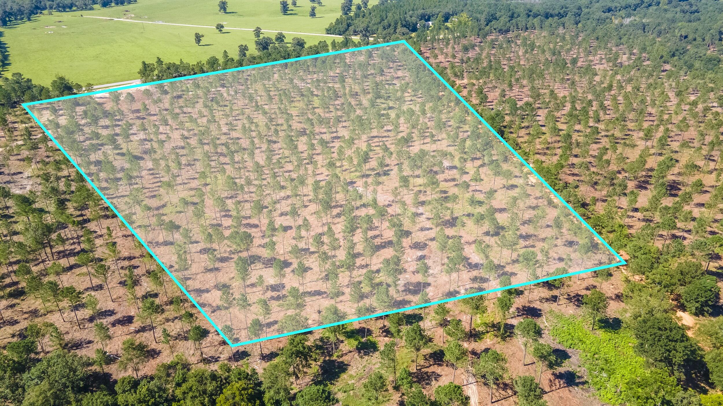 Lot 10 Shadow Lane / Camp Rawls Road Property Photo 1