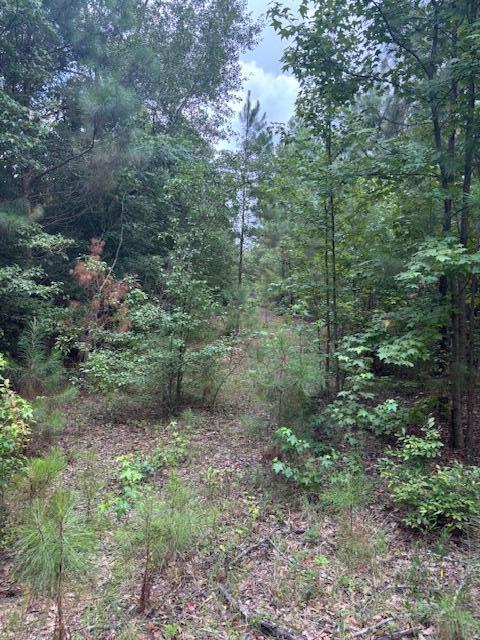 1912 Pine Hollow Drive Property Photo 2