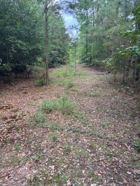 1912 Pine Hollow Drive Property Photo 4