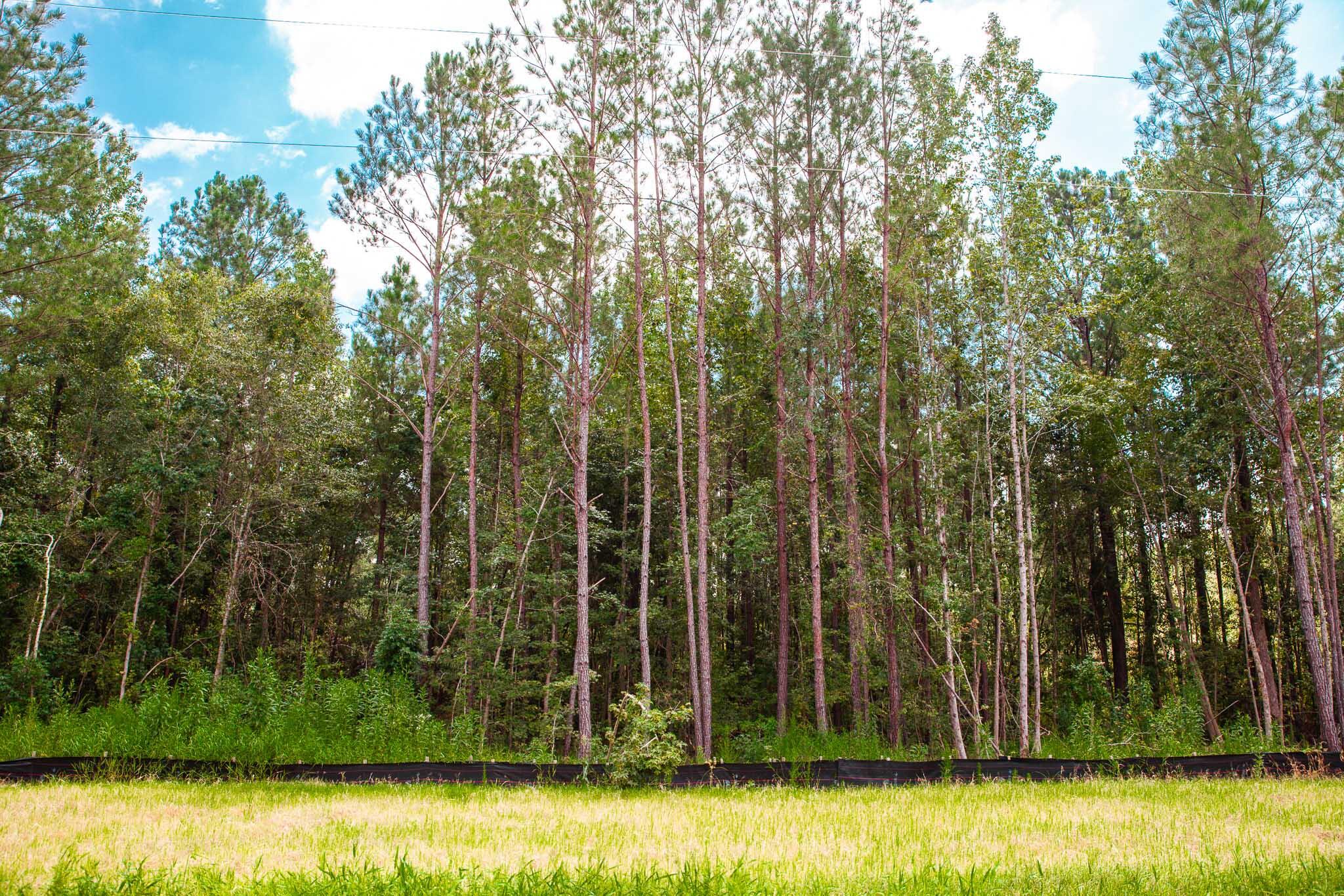 Lot 18 Leyland Court Property Photo 1