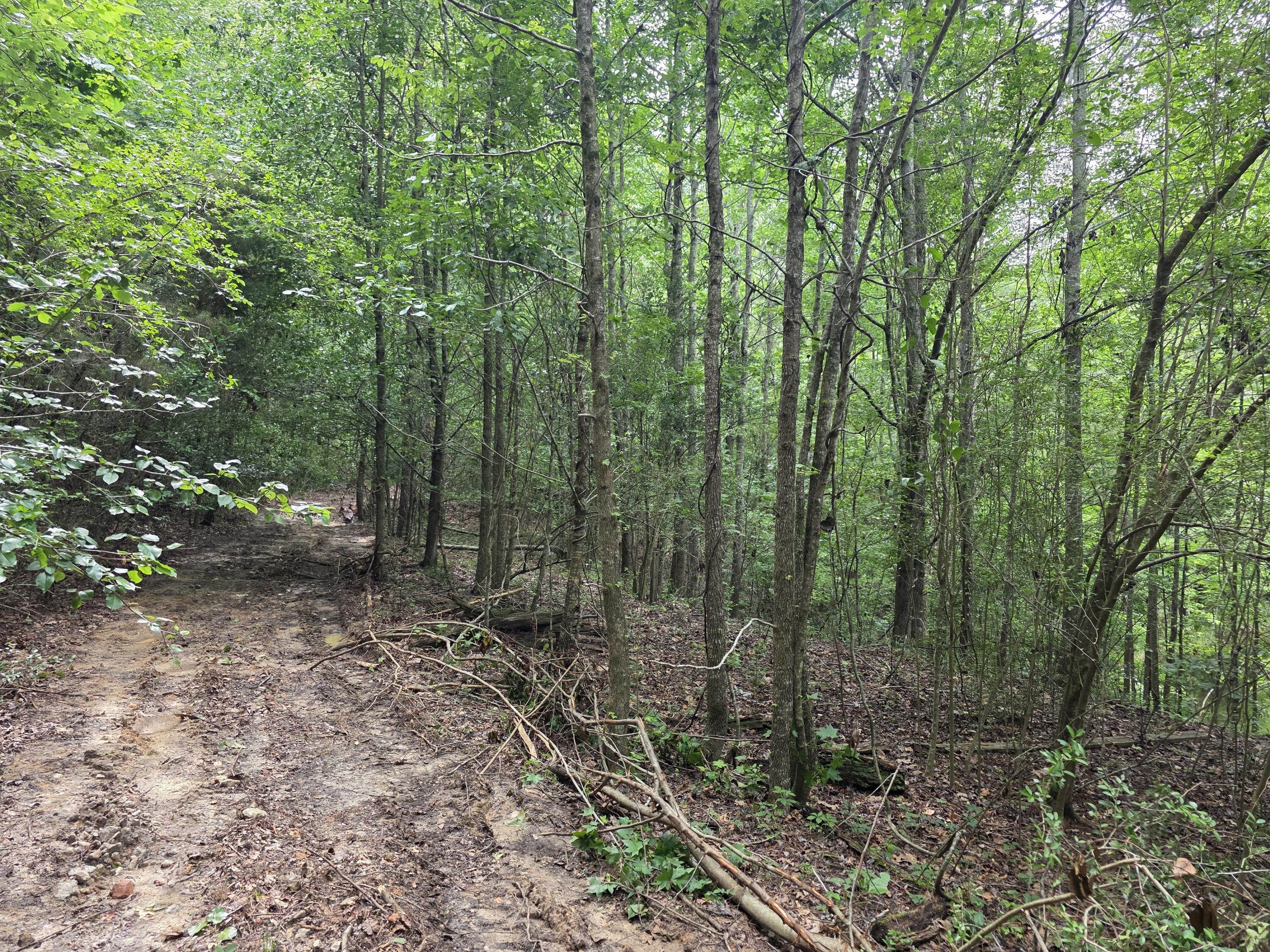 2031 Mcdade Road Property Photo 2