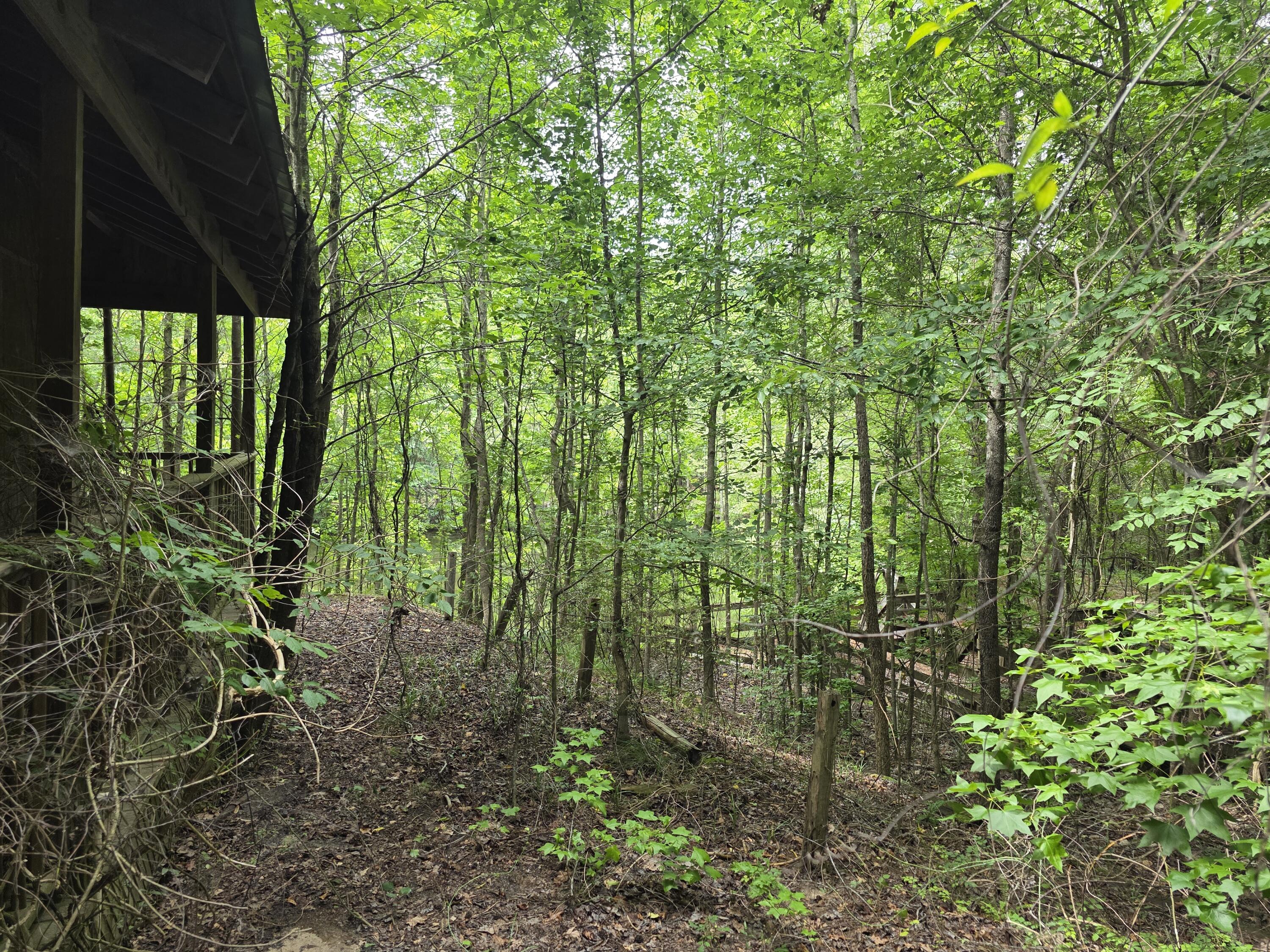 2031 Mcdade Road Property Photo 3