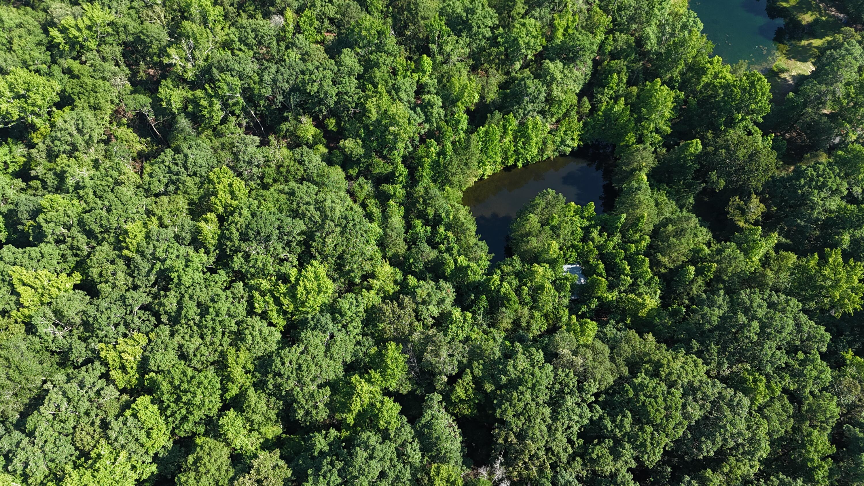 2031 Mcdade Road Property Photo 8