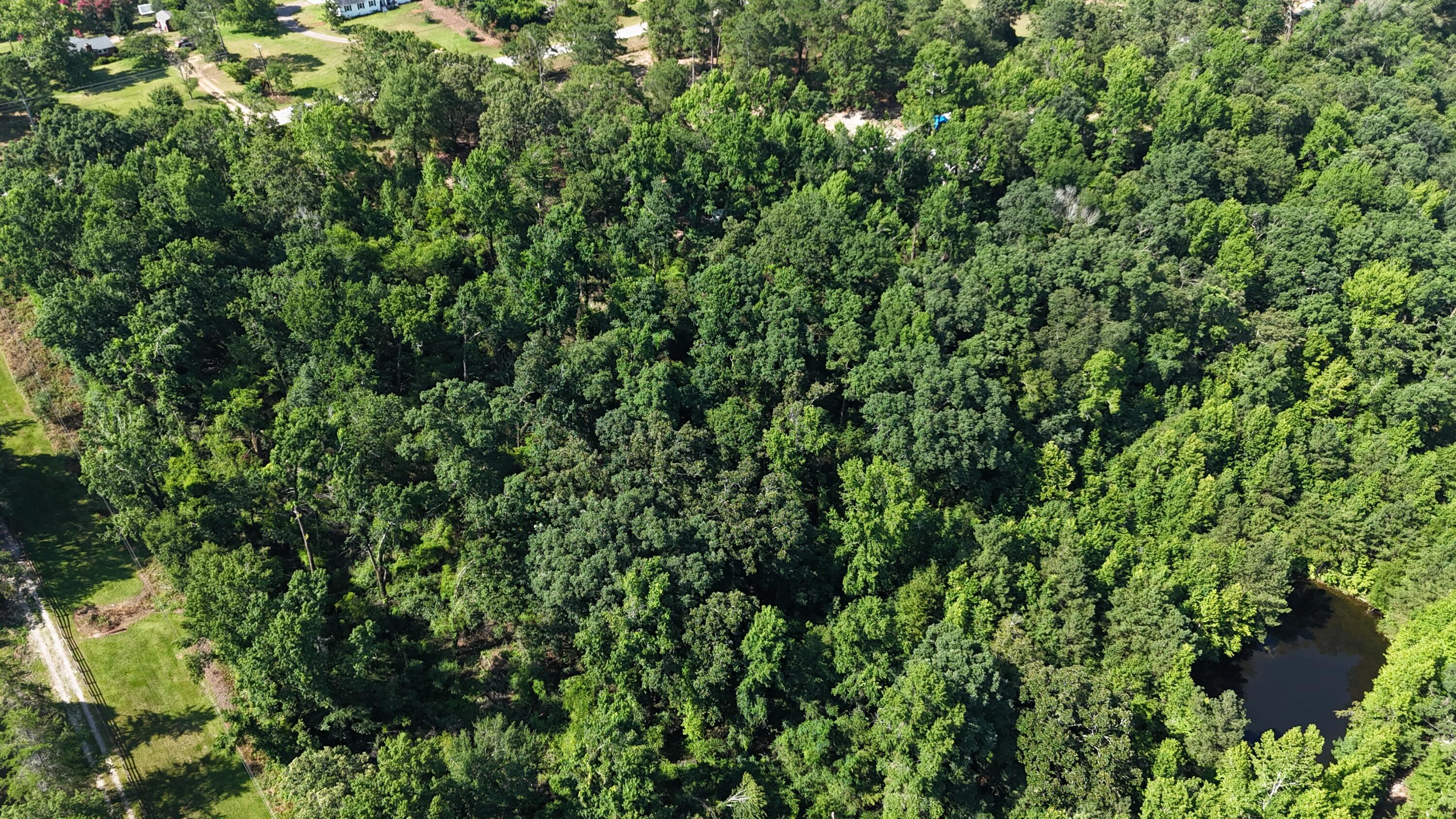 2031 Mcdade Road Property Photo 14