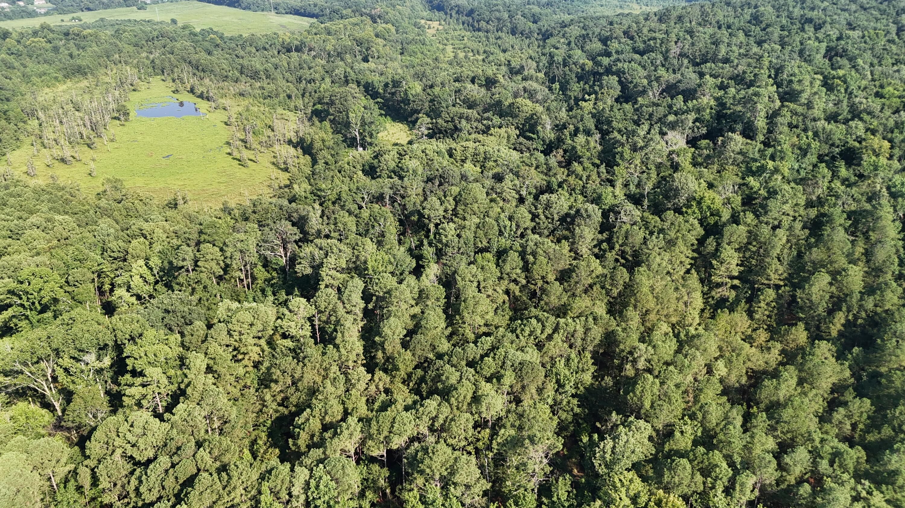 0 Swamp Road Property Photo 1