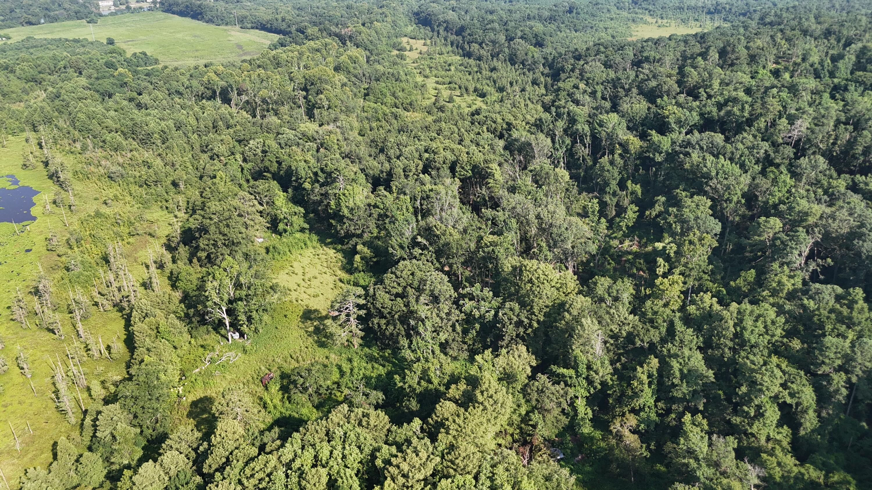 0 Swamp Road Property Photo 3
