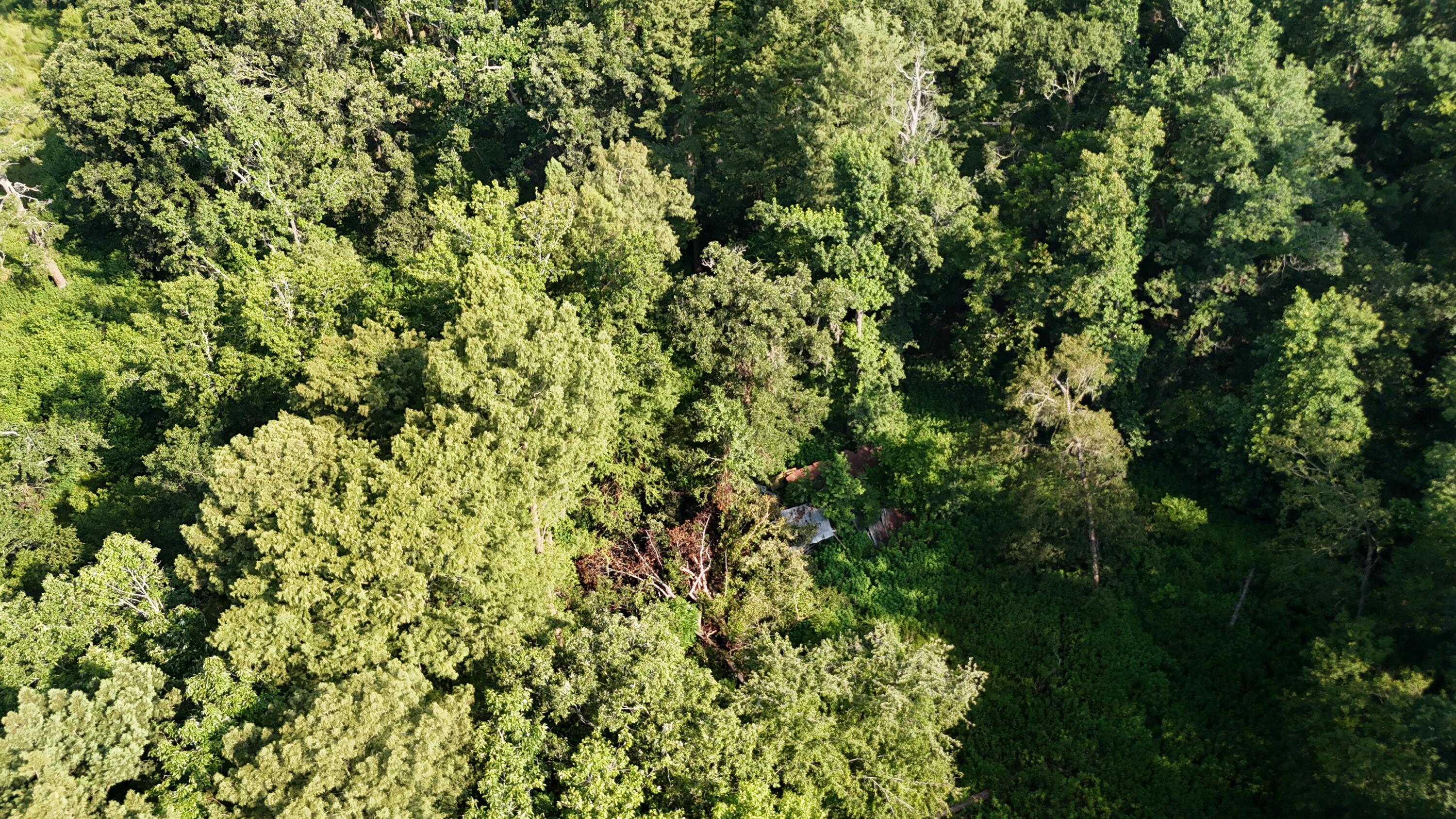 0 Swamp Road Property Photo 19