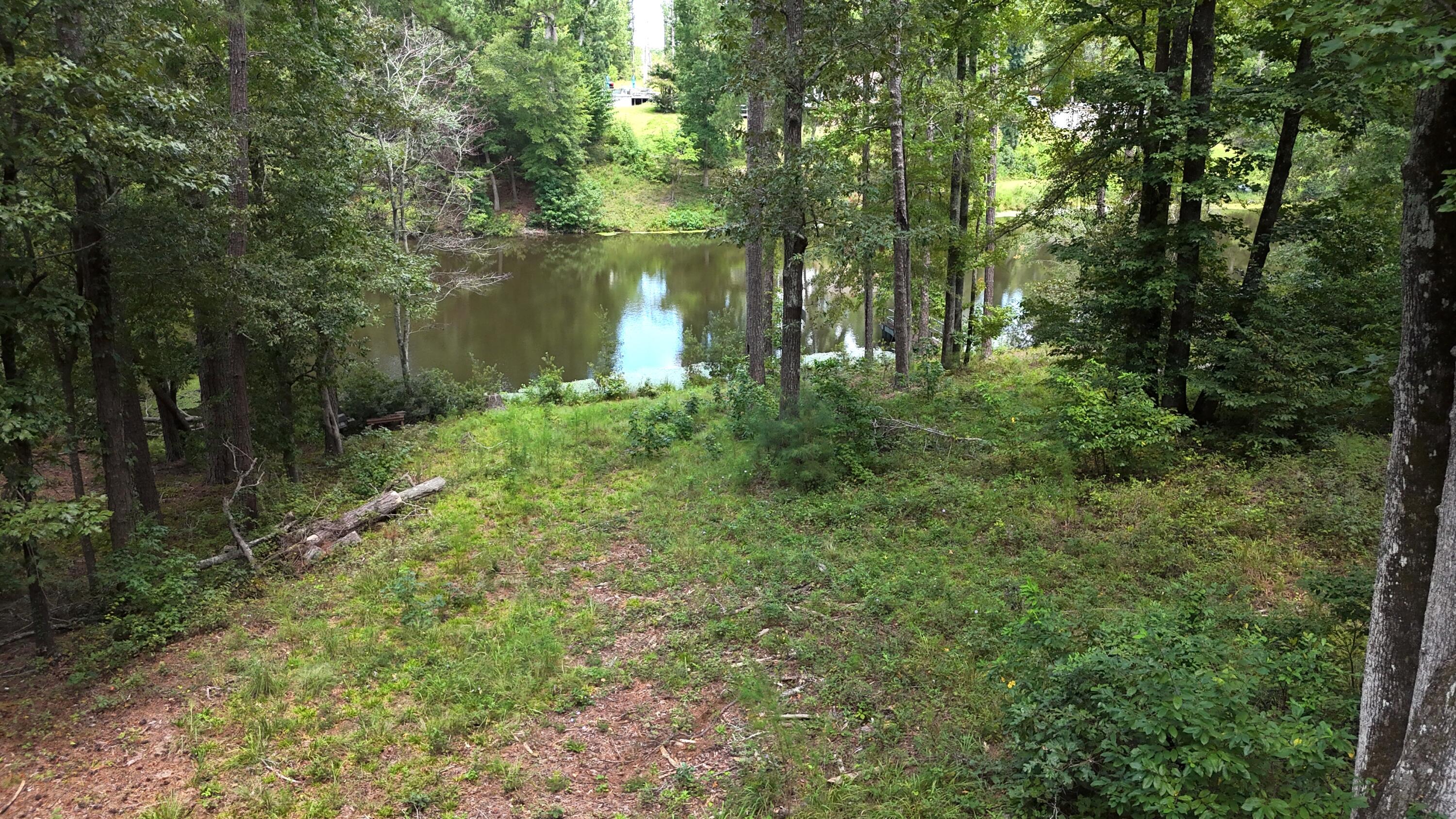 0 Hummingbird Drive Property Photo 3