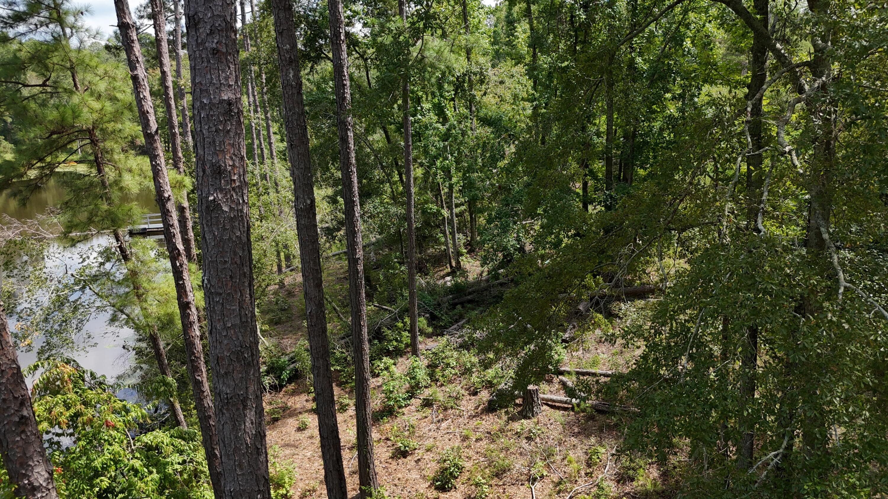 0 Hummingbird Drive Property Photo 8
