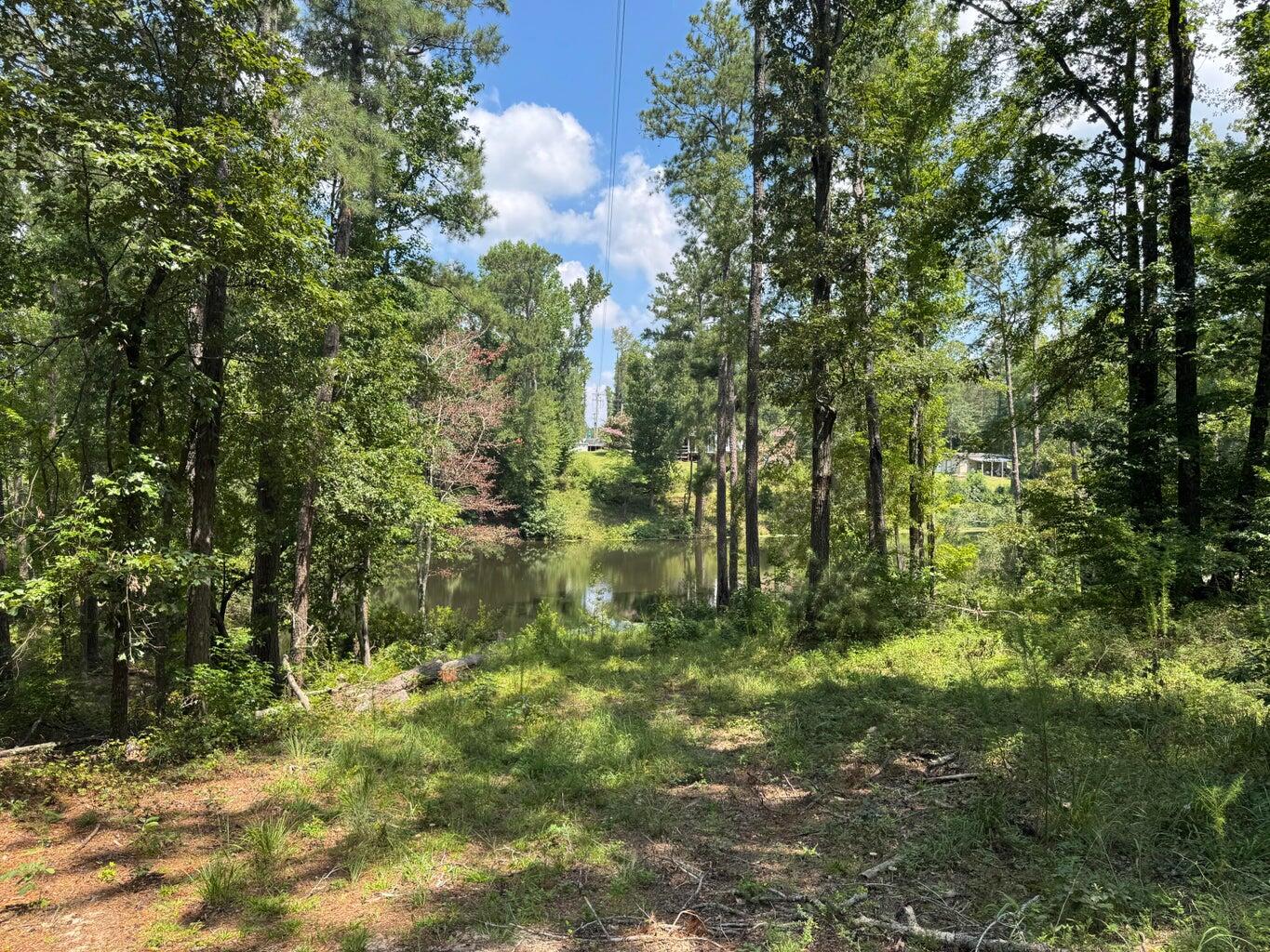 0 Hummingbird Drive Property Photo 11