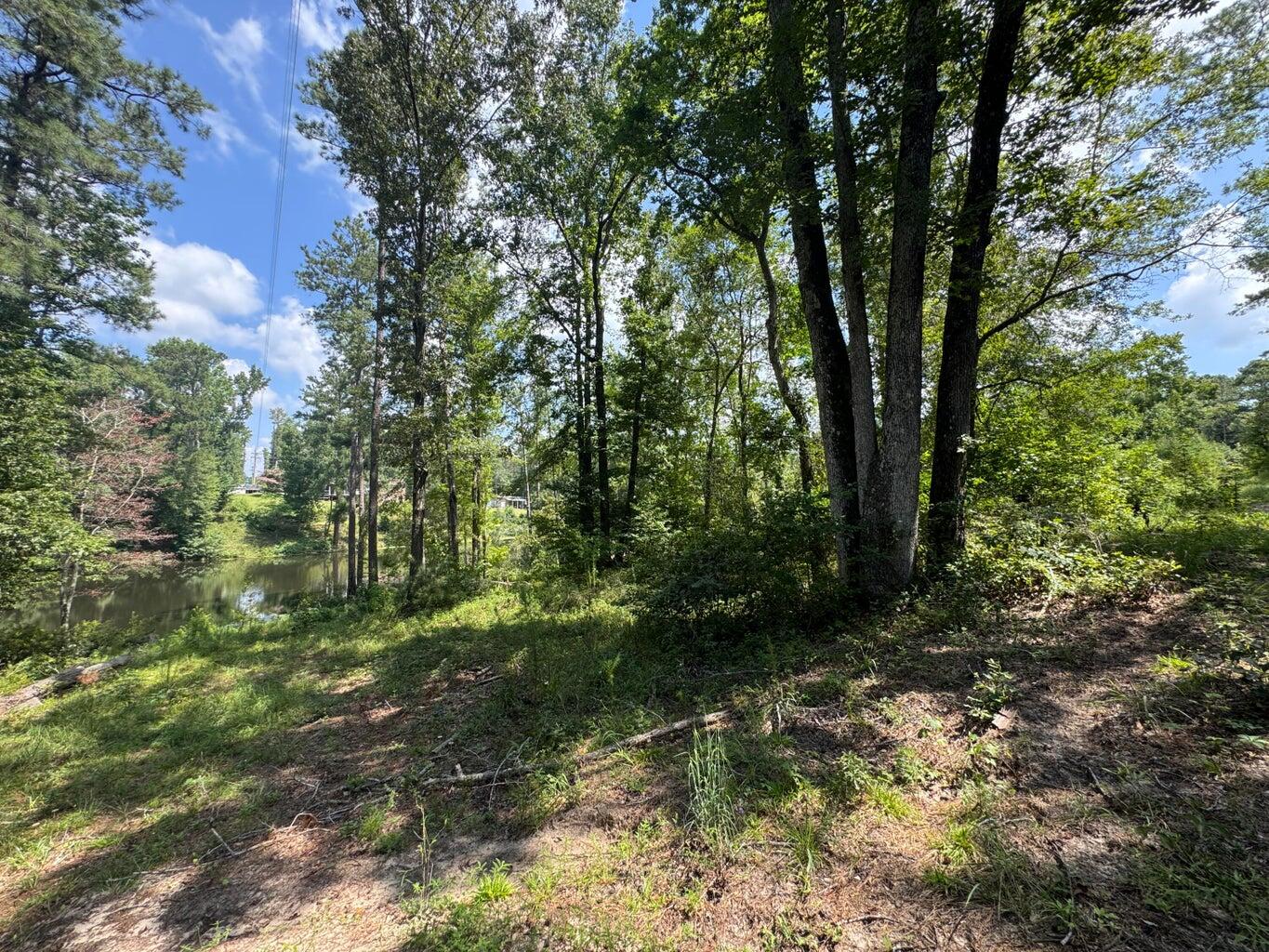 0 Hummingbird Drive Property Photo 12
