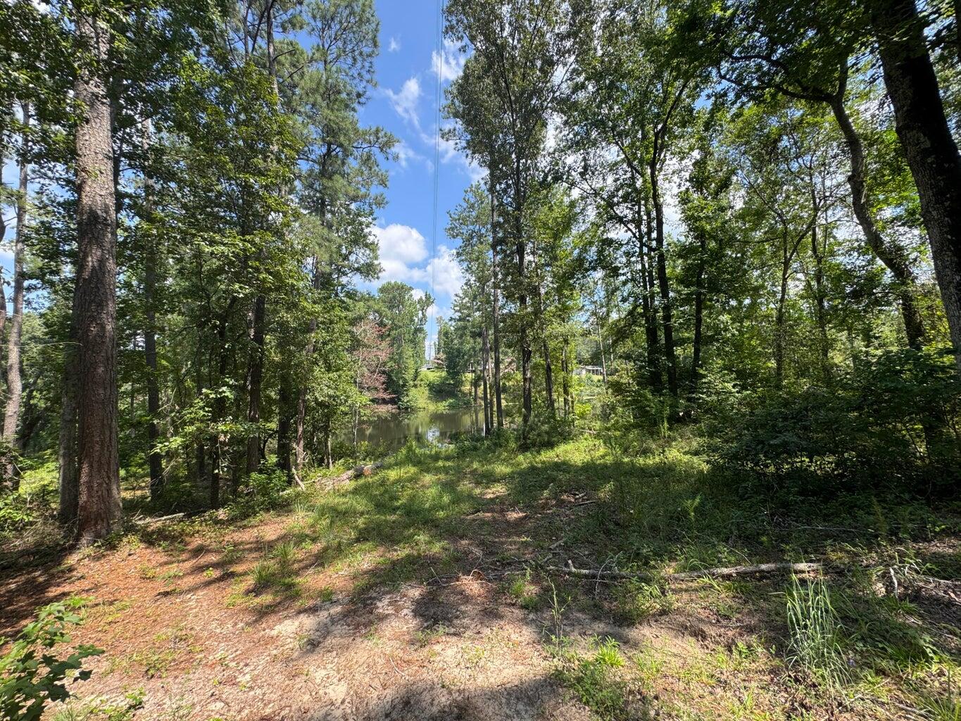 0 Hummingbird Drive Property Photo 13