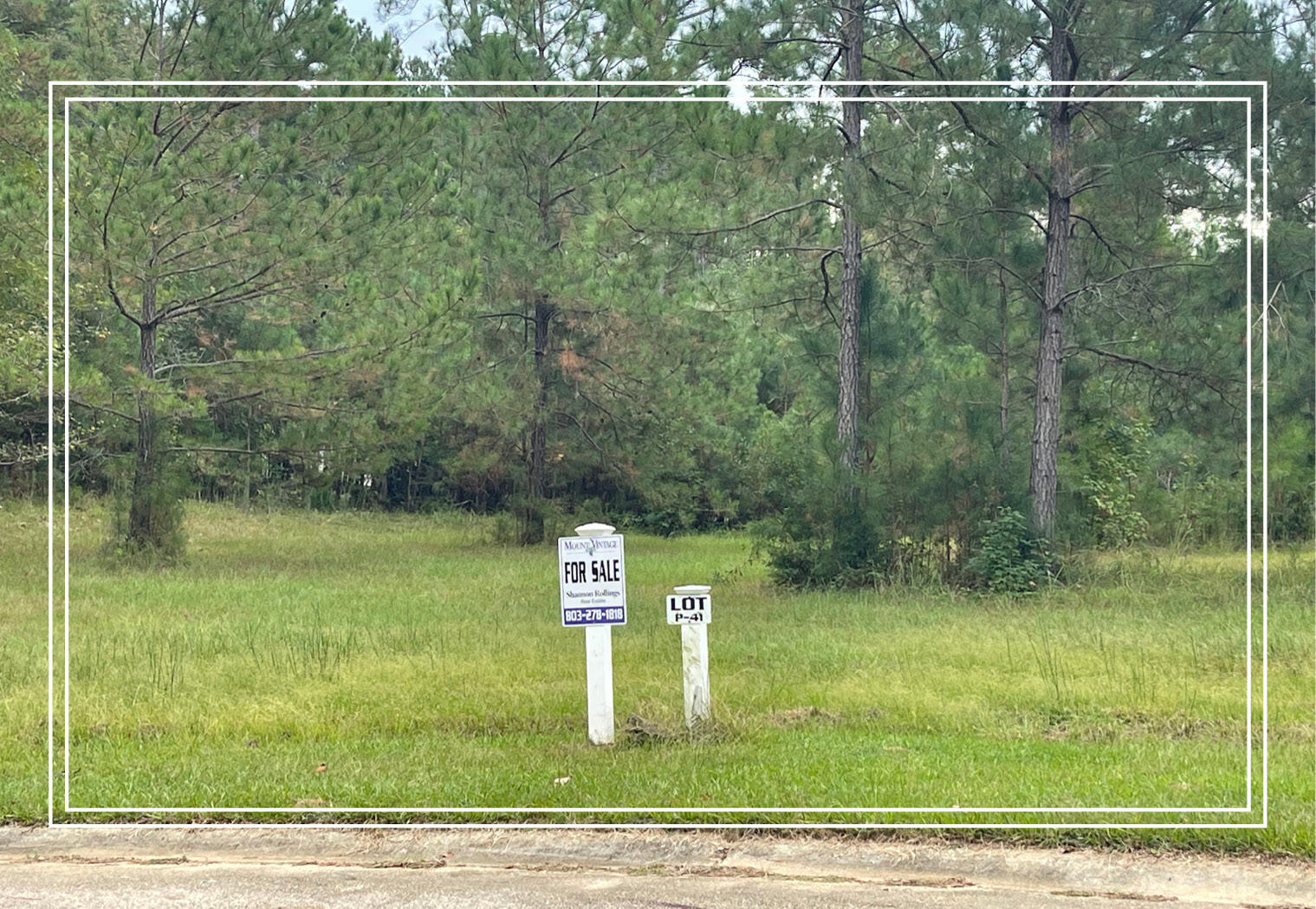 0 Mt Vintage- Spiked Cannon Court Property Photo 1