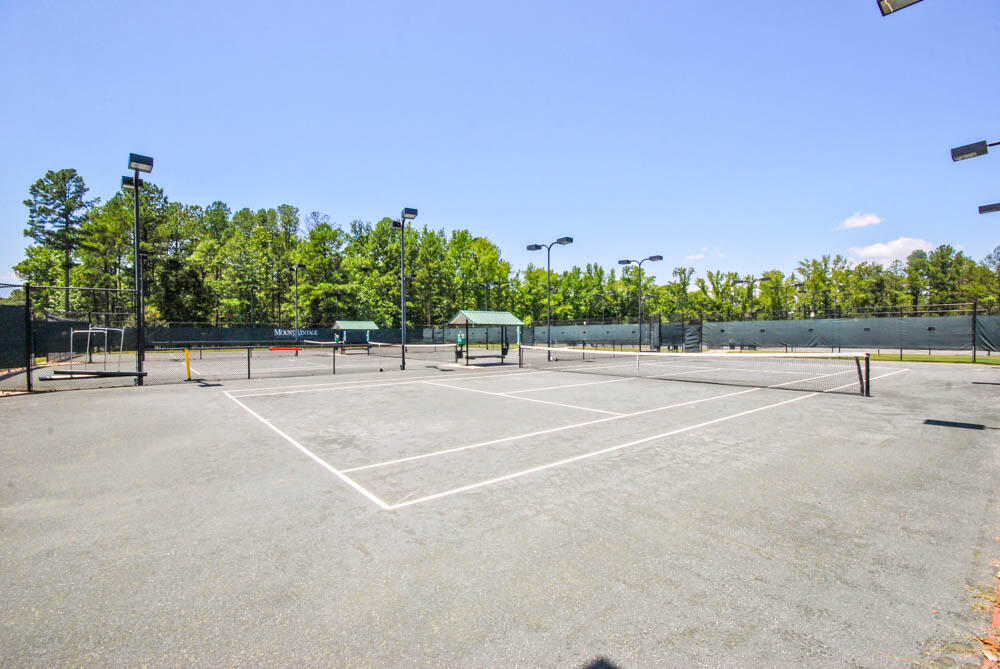 0 Mt Vintage- Spiked Cannon Court Property Photo 8