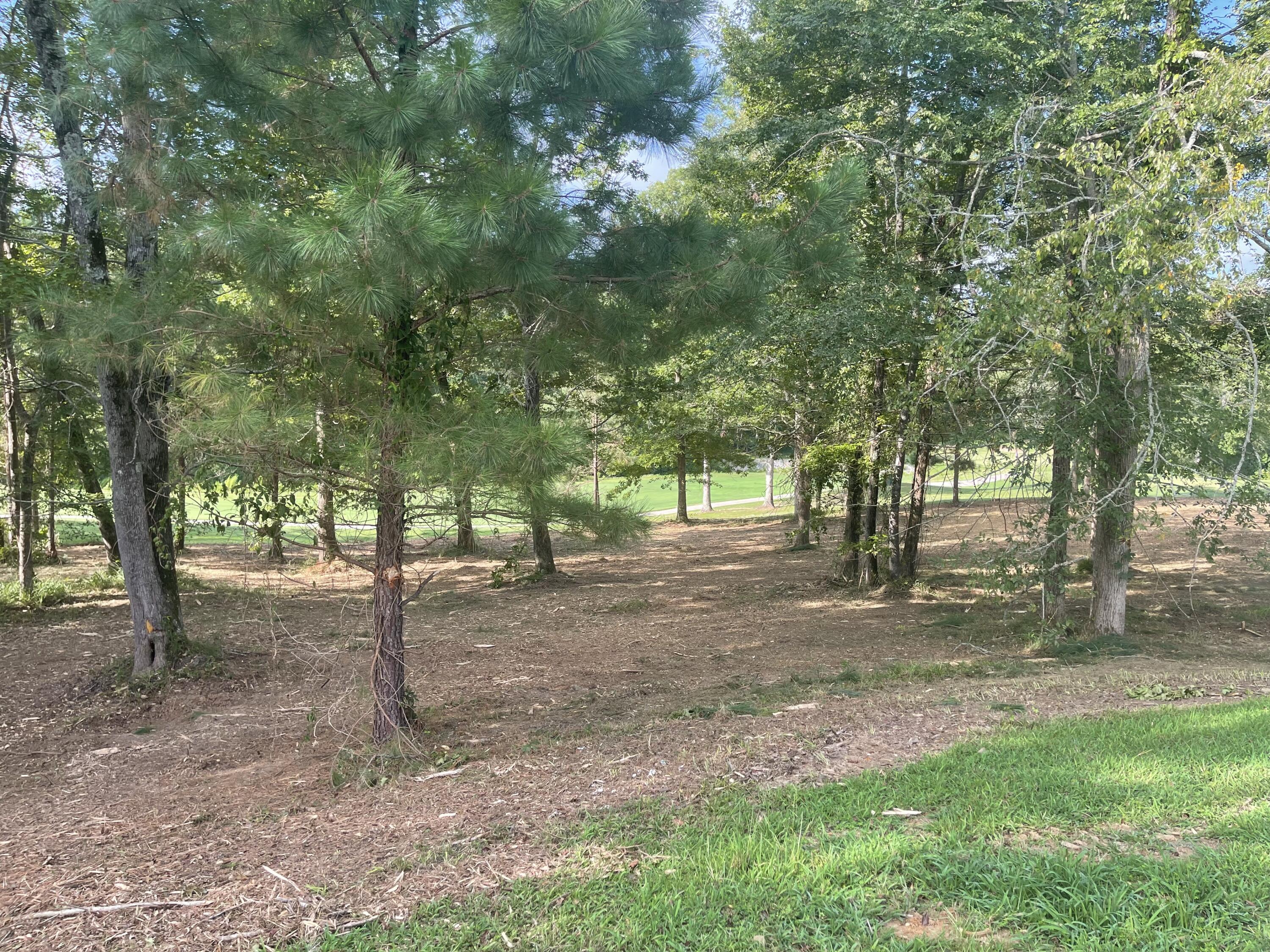Lot G-39 John Fox's Run Property Photo 1