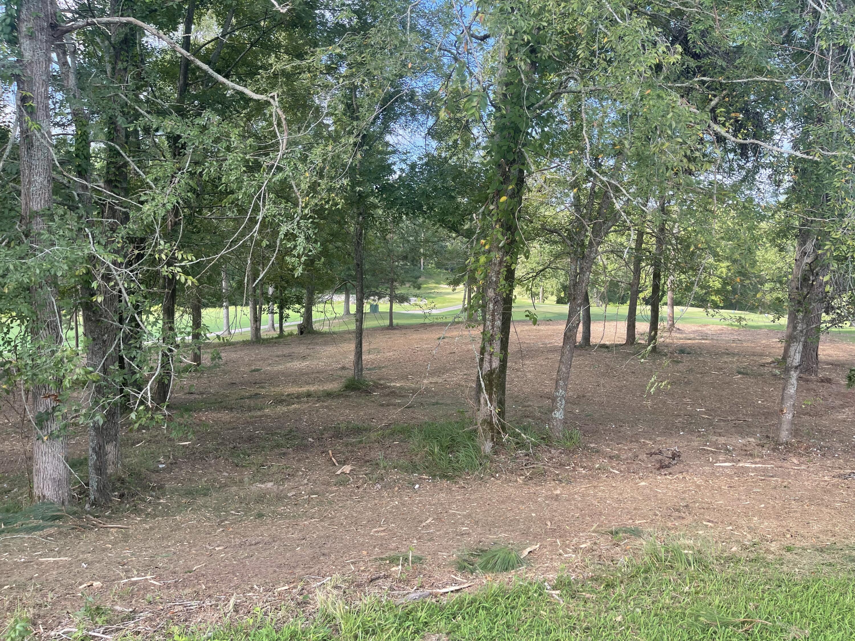 Lot G-39 John Fox's Run Property Photo 3