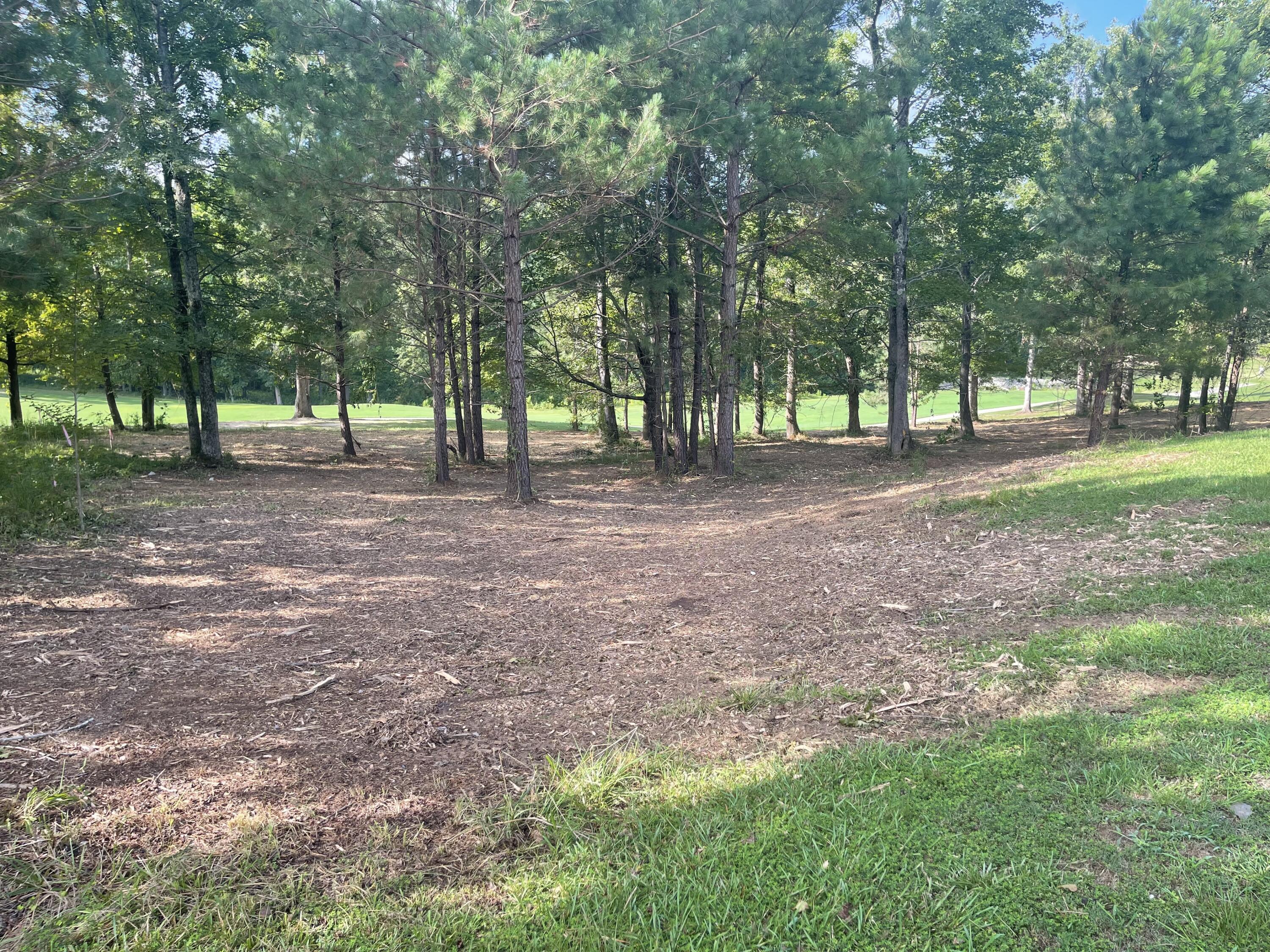 Lot G-39 John Fox's Run Property Photo 4